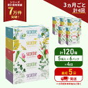 【ふるさと納税】定期便 ティッシュ スコッティ フラワーボックス 120箱 (5箱×6パック)《3ヶ月ごと計4 回》 ティッシュペーパー ティシューペーパーボックスティッシュ ボックスティシュー ティシュペーパー 防災 災害 日用品 生活用品 生活必需品 宮城県 岩沼市