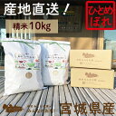 【ふるさと納税】米 ひとめぼれ 10kg 岩沼みんなの家 みんなのお米! 精米 お米 白米 単一原料米 ブランド米 東北 震災 支援 こめ コメ おこめ ご飯 ごはん 10キロ 産地直送 送料無料 宮城県産 宮城 宮城県 岩沼市
