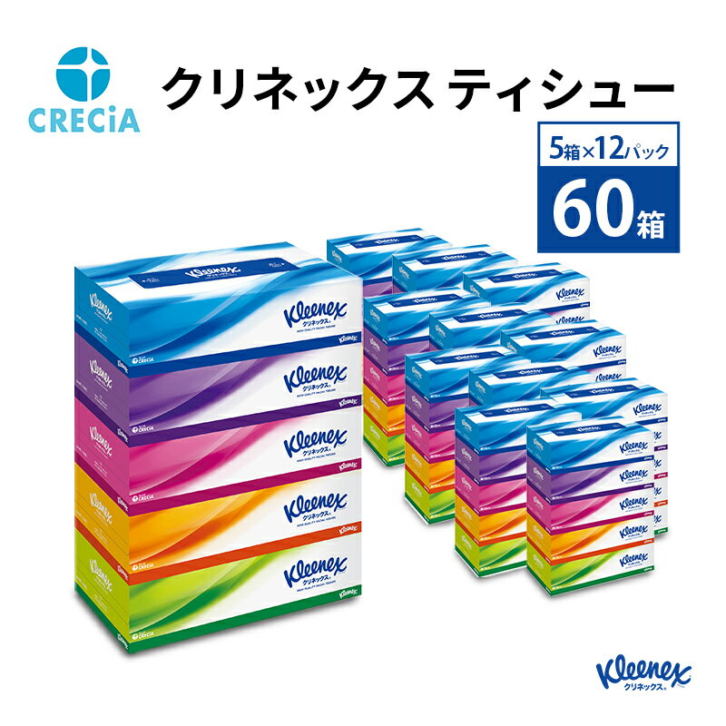 【ふるさと納税】［生活応援 ］ティッシュ 60箱 クリネックス ティシュー 1ケース 5箱 12パック入り ティッシュペーパー 【 生活必需品 必需品 紙 雑貨 日用品 日用雑貨 日用消耗品 消耗品 】