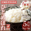 【ふるさと納税】<先行予約!2025年10月以降順次発送予定>≪令和7年産 新米≫ ひとめぼれ 5kg (5kg×1袋) 登米市産 お米 おこめ 米 コメ 白米 ご飯 ごはん おにぎり お弁当 【登米ライスサービス株式会社】tm146