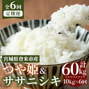【ふるさと納税】<先行予約!2025年10月から発送開始予定>≪令和7年産≫【6回定期便】ササニシキ・つや姫 計60kg (各5kg×6回配送) 登米市産 お米 おこめ 米 コメ 白米 ご飯 ごはん おにぎり お弁当 6か月 頒布会【登米ライスサービス株式会社】tm462