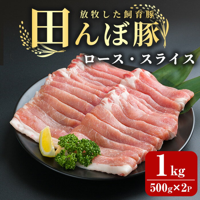 【ふるさと納税】田んぼ豚 ロース スライス 1kg（500g × 2パック) 豚肉 ぶた ブタ しゃぶしゃぶ 生姜焼き 放牧飼育 小分け 【株式会社いなほ】 tm260