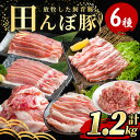 【ふるさと納税】田んぼ豚セット 計1.2kg (200g×6種) 豚肉 肉 お肉 冷凍 にく 登米市産 ロース バラ モモのスライス 肩焼肉用 細切れ ひき肉 ...