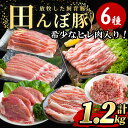 【ふるさと納税】≪希少なヒレ肉入り≫ 田んぼ豚セット 計1.2kg (200g×6種) 豚肉 肉 お肉 冷凍 にく 登米市産 ヒレ厚切り ロース バラ モモのス...