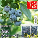 【ふるさと納税】≪ 訳あり≫ 無選別 冷凍ブルーベリー 2kg〜4kg 選べる内容量 ブルーベリー 果物 フルーツ 朝食 ヨーグルト スムージー 健康 訳アリ【...