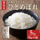 【ふるさと納税】<令和6年度産> ひとめぼれ 無洗米 5kg (5kg×1袋) 和紙袋仕様 お米 おこめ 米 コメ 白米 ご飯 ごはん おにぎり お弁当 【ライス宮城株式会社】tm295