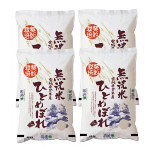 【ふるさと納税】<令和6年度産> ひとめぼれ 無洗米 20kg (5kg×4袋) 和紙袋仕様 お米 おこめ 米 コメ 白米 ご飯 ごはん おにぎり お弁当 【ライス宮城株式会社】tm297 【ふるさと納税】<令和6年度産> ひとめぼれ 無洗米 20kg (5kg×4袋) 和紙袋仕様 お米 おこめ 米 コメ 白米 ご飯 ごはん おにぎり お弁当 【ライス宮城株式会社】tm297
