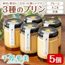 【ふるさと納税】プリン5個セット (計3種) <千煌華美> プレーン 甘酒 えごま 洋菓子 スイーツ デザート お菓子 食べ比べ てんさい糖 【有限会社魚文】tm096