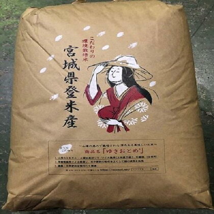 こだわりの登米産ササニシキ玄米30kg | お米 こめ 白米 食品 人気 おすすめ 送料無料