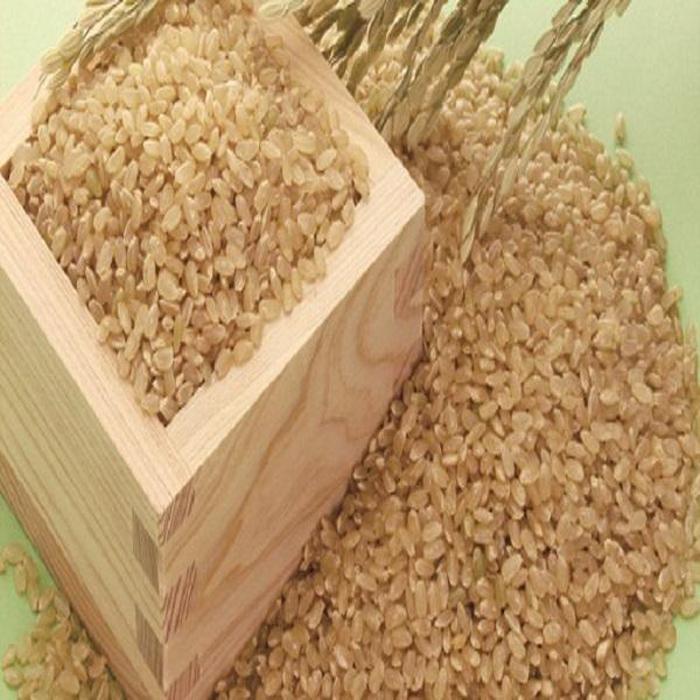 【ふるさと納税】こだわりの登米産ミルキークイーン玄米30kg一等米 | お米 こめ 白米 食品 人気 おすすめ 送料無料