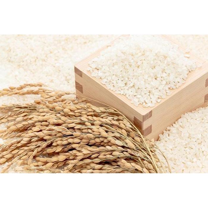 【ふるさと納税】こだわりの登米産ミルキークイーン精米27kg一等米 | お米 こめ 白米 食品 人気 おすすめ 送料無料