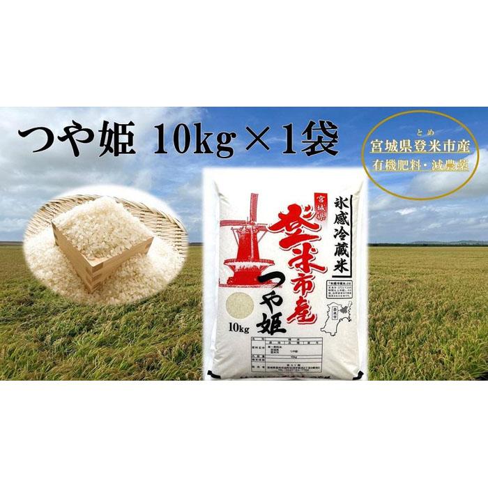 【ふるさと納税】【冷蔵米】令和5年産 米 つや姫 宮城県 登米市産 10kg
