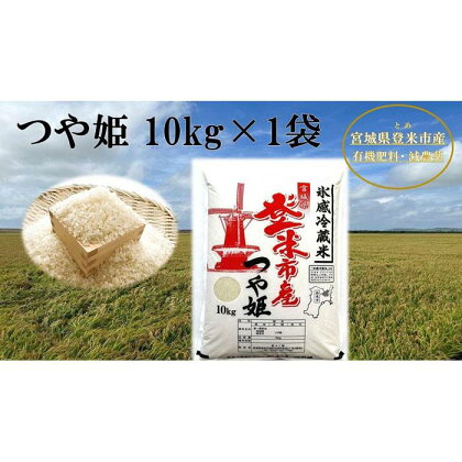 【冷蔵米】令和5年産 米 つや姫 宮城県 登米市産 10kg