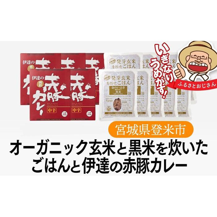 オーガニック玄米と伊達の赤豚カレー セット（ご飯12個×カレー6個）パックご飯 150g レトルト食品 レトルトカレー 玄米 パック 黒米 レトルト レトルトご飯 レトルト食品 カレー ふるさと納税 宮城県 登米市 | 非常食