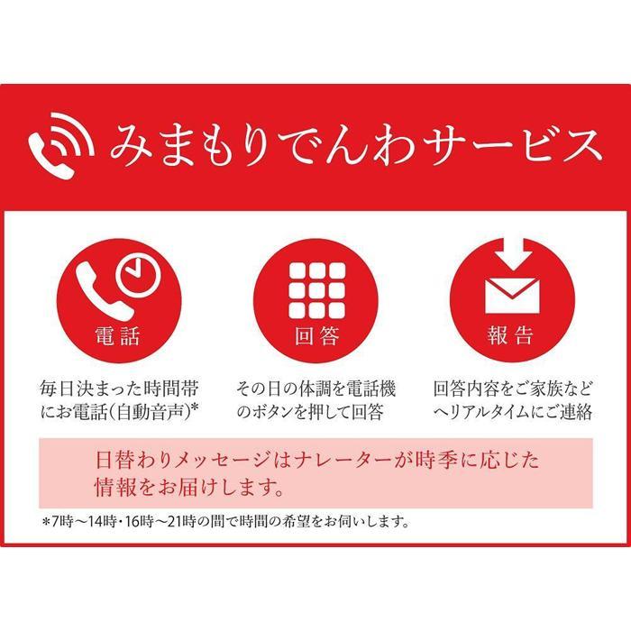 【ふるさと納税】郵便局のみまもりサービス「みまもりでんわサービス」（携帯電話）（3か月）