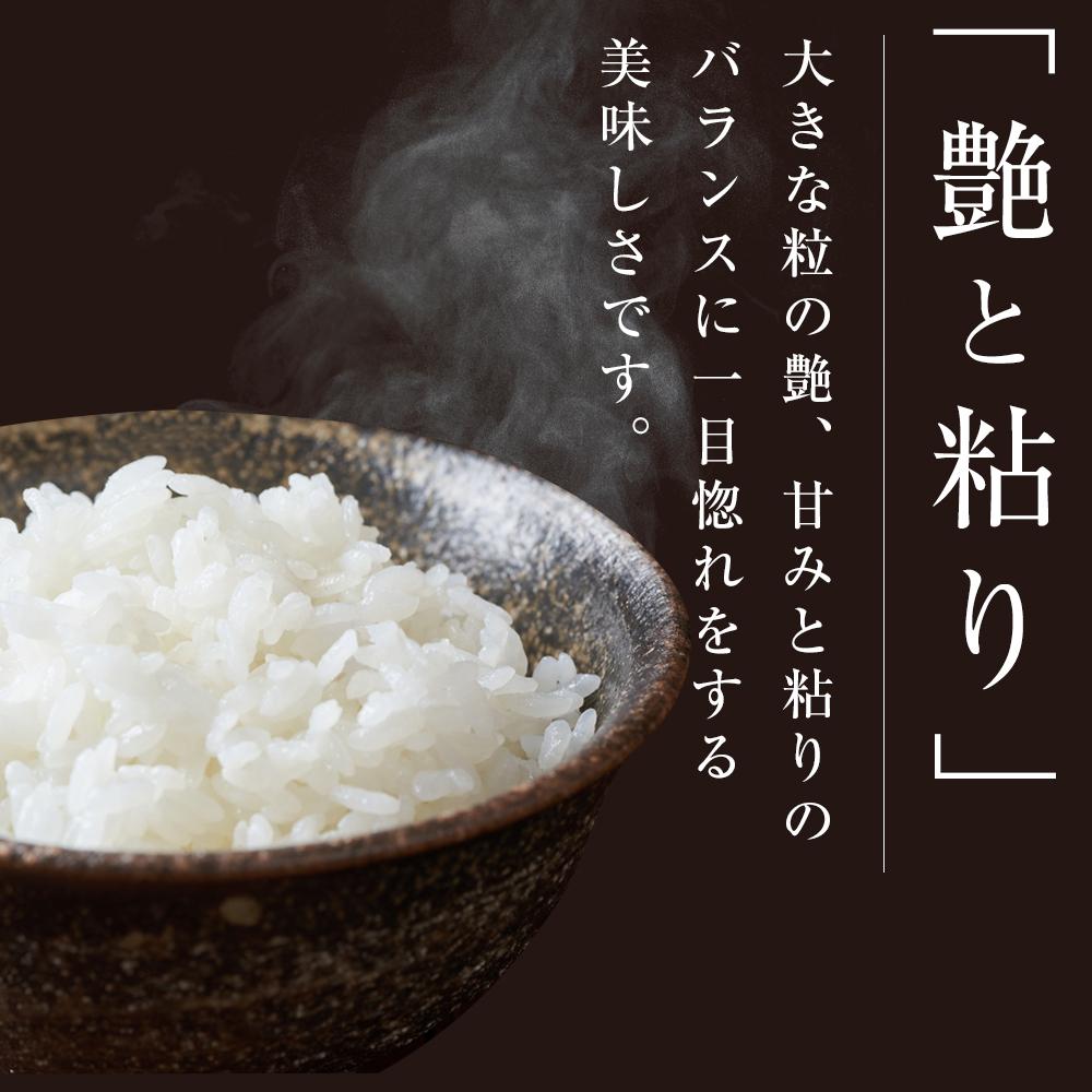 【ふるさと納税】令和5年産【定期便／全6回】宮城県登米市産ひとめぼれ精米　5kg×2個セット | 5kg×2個 2ヶ月に1回お届け 米 令和3年産 精米 白米 こめ お楽しみ 宮城県 登米市 予約