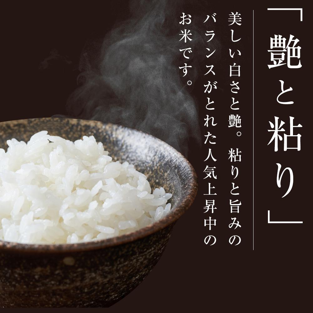 【ふるさと納税】【令和5年産】米 つや姫 宮城県 登米市産 10kg ( 5kg ×2袋 ) | お米 米 精米 白米 こめ つやひめ 特A 宮城 宮城県産 登米市