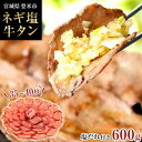 【ふるさと納税】牛肉 ネギ塩 タン 600g ( 35枚 ～ 40