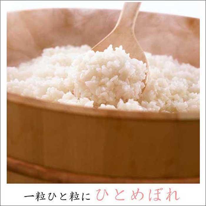 【ふるさと納税】【令和5年度産】ひとめぼれ白米10kg（5kg×2袋） 和紙袋仕様