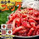 【ふるさと納税】最高級 ブランド 牛肉 仙台牛 ユッケ