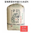 10位! 口コミ数「0件」評価「0」【定期便／全6回】宮城県登米市産ひとめぼれ玄米30kg