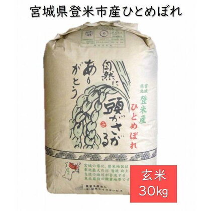 【定期便／全6回】宮城県登米市産ひとめぼれ玄米30kg