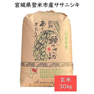 【ふるさと納税】【定期便／全12回】宮城県登米市産ササニシキ玄米30kg