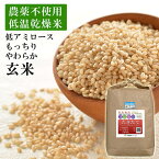 【ふるさと納税】玄米 無農薬 玄米 5kg 2023年産【高評価★4.90以上】たきたて 低アミロース米 米 お米 2023年産 農薬・化学肥料不使用栽培 登米市 宮城県 ふるさと納税宮城県 ふるさと納税米