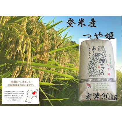 【令和5年産】米 玄米 つや姫 宮城県 登米市産 30kg | 米 お米 こめ つやひめ 令和4年 ご飯 ごはん お取り寄せ ご当地 数量限定 人気 おすすめ