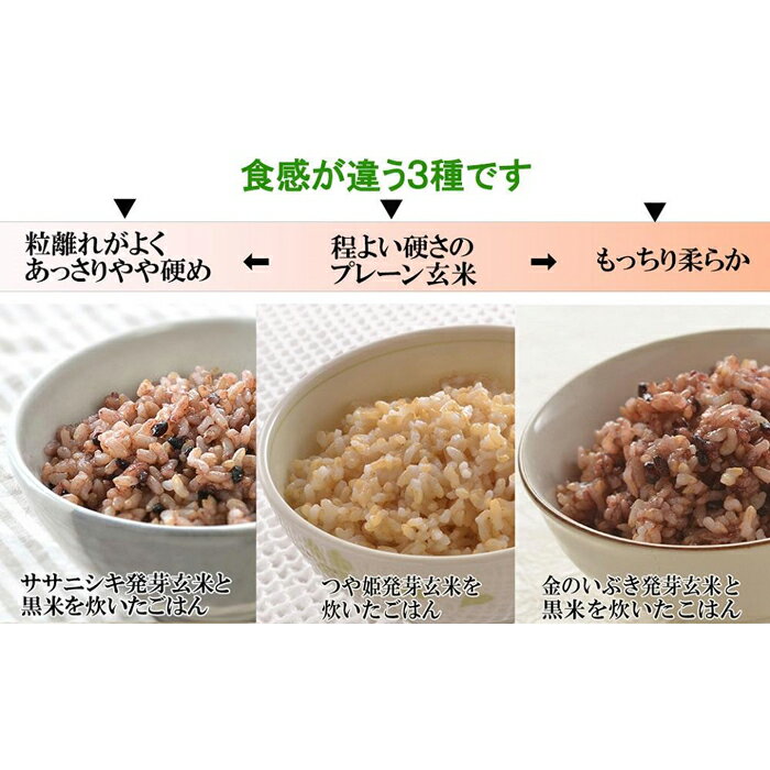 【ふるさと納税】発芽玄米ごはん3種セット（有機栽培米使用）150g×16パック
