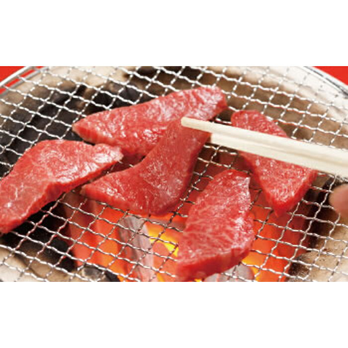 【ふるさと納税】牛肉 登米産 仙台牛 モモ あみ焼き用 約500g 宮城県 登米市産