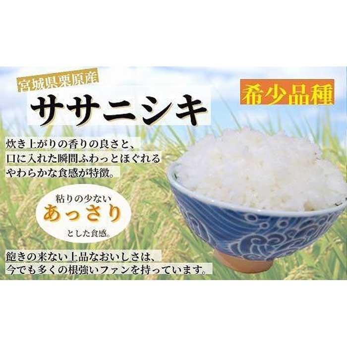 【ふるさと納税】【令和5年産】宮城栗原産 ササニシキ 白米15kg (5kg×3袋) | お米 こめ 白米 食品 人気 おすすめ 送料無料