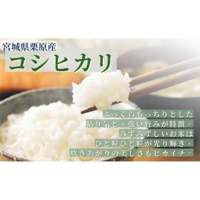 【ふるさと納税】【令和5年産】宮城栗原産 コシヒカリ 白米 10kg (5kg×2袋)