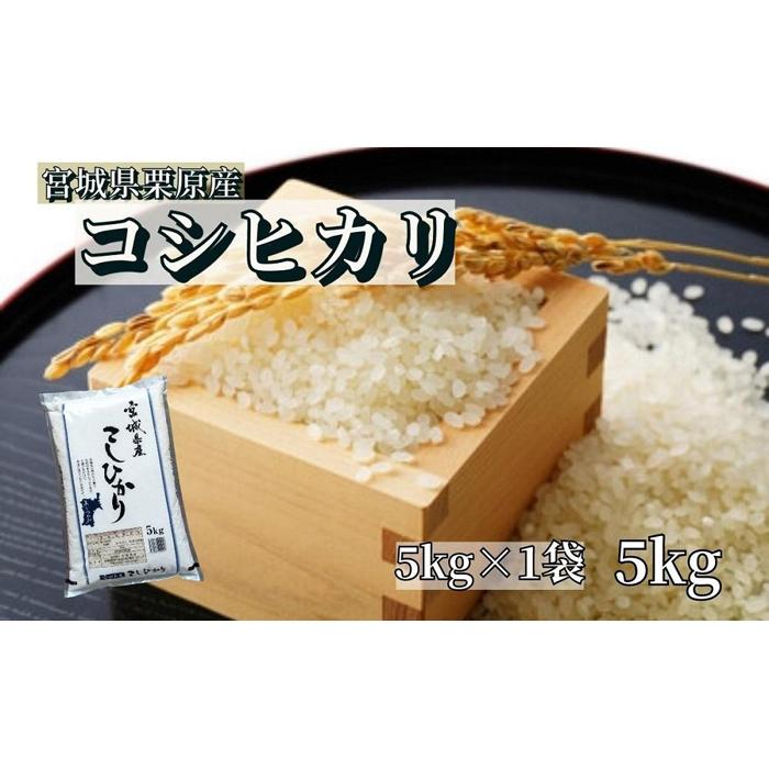 [令和5年産]宮城栗原産 コシヒカリ 白米 5kg (5kg×1袋) | こしひかり 米 お米 こめ おこめ コメ 5キロ 宮城県 栗原市 宮城県栗原市 お土産 宮城 宮城県産 東北 食品 おすすめ 特別栽培