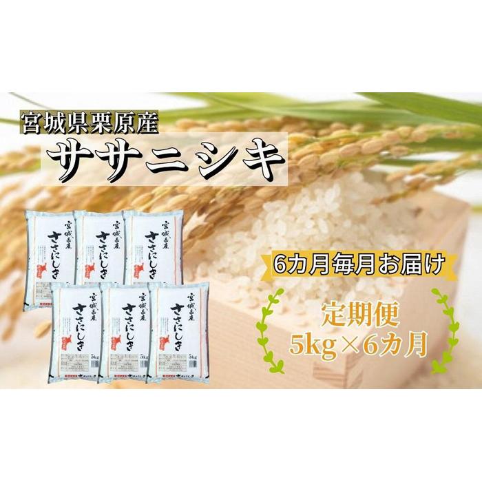 【ふるさと納税】【6ヶ月定期便】宮城県栗原産 ササニシキ 毎月5kg (5kg×1袋)×6ヶ月 | 定期 ささにし...