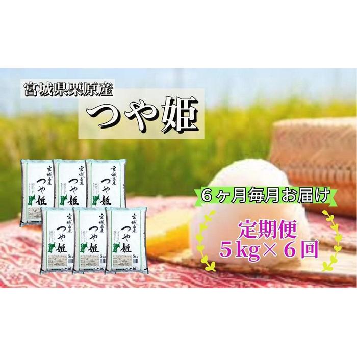 【ふるさと納税】【6ヶ月定期便】宮城県栗原産 つや姫 毎月5kg (5kg×1袋)×6ヶ月 | 定期 つやひめ 定期便 米 お米 こめ おこめ コメ 5キロ 宮城県 栗原市 宮城県栗原市 お土産 宮城 宮城県産 東北 食品 おすすめ