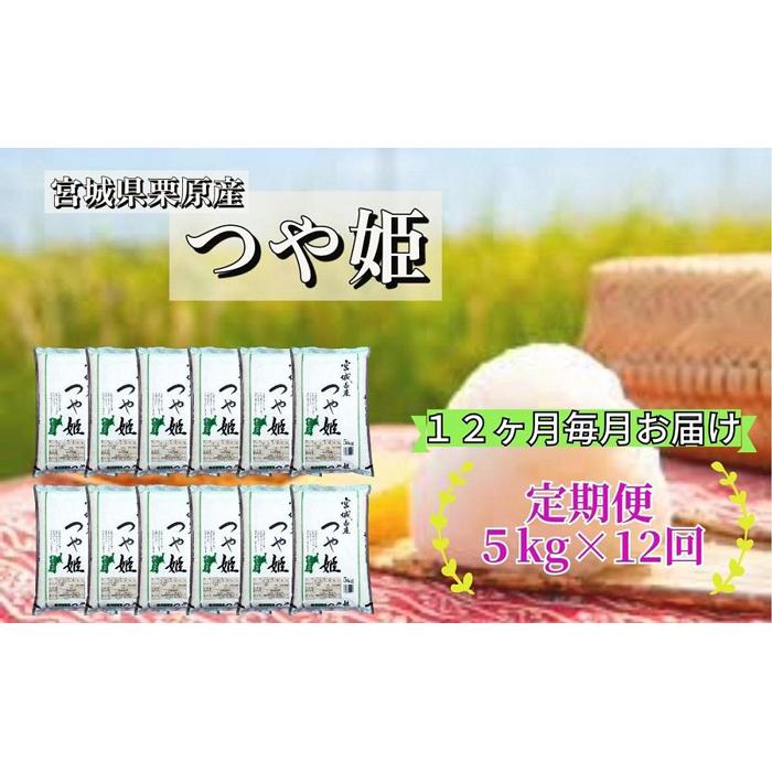 【ふるさと納税】【12ヶ月定期便】宮城県栗原産「つや姫」毎月5kg×12ヶ月 | 定期 つやひめ 定期便 米 お米 こめ おこめ コメ 5キロ 宮城県 栗原市 宮城県栗原市 お土産 宮城 宮城県産 東北 食品 おすすめのサムネイル