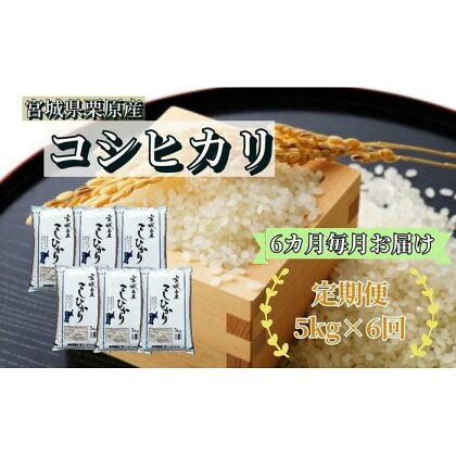 【6ヶ月定期便】宮城県栗原産 コシヒカリ 毎月5kg (5kg×1袋)×6ヶ月 | 定期 定期便 こしひかり 米 お米 こめ おこめ コメ 5キロ 宮城県 栗原市 宮城県栗原市 お土産 宮城 宮城県産 東北 食品 おすすめ 特別栽培