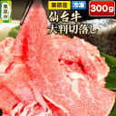 【ふるさと納税】栗原産仙台牛 大判切落し 300g