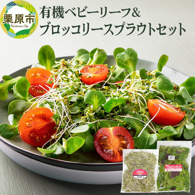 【ふるさと納税】有機ベビーリーフ&ブロッコリースプラウトのセット 宮城県栗原市産