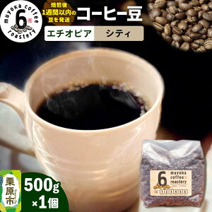 【ふるさと納税】コーヒー豆 エチオピア シティ 500g×1個 ムヨカコーヒー 《テレビで全国放送 2025/7/28》