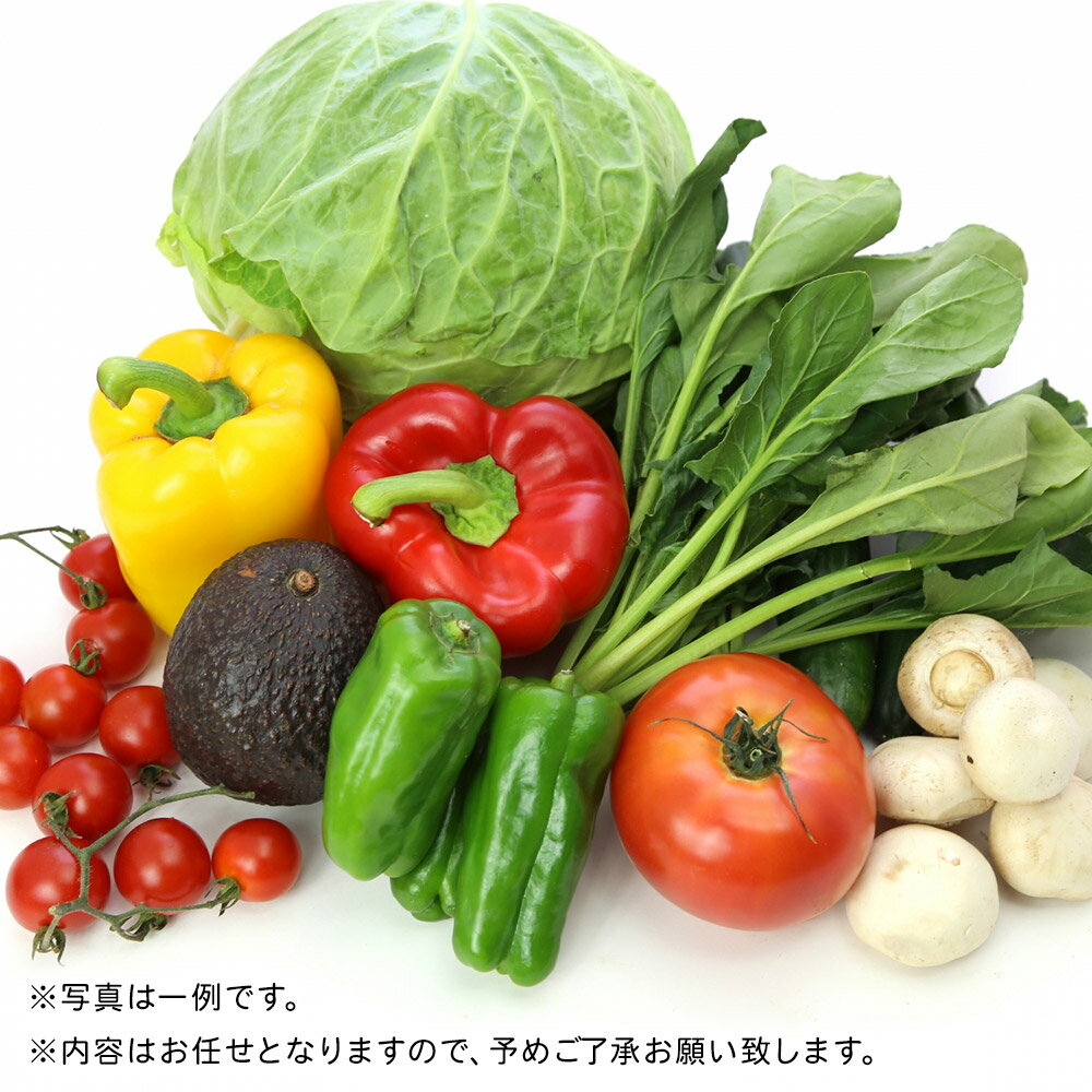 【ふるさと納税】栗原産 お任せ野菜セット（8品〜12品）