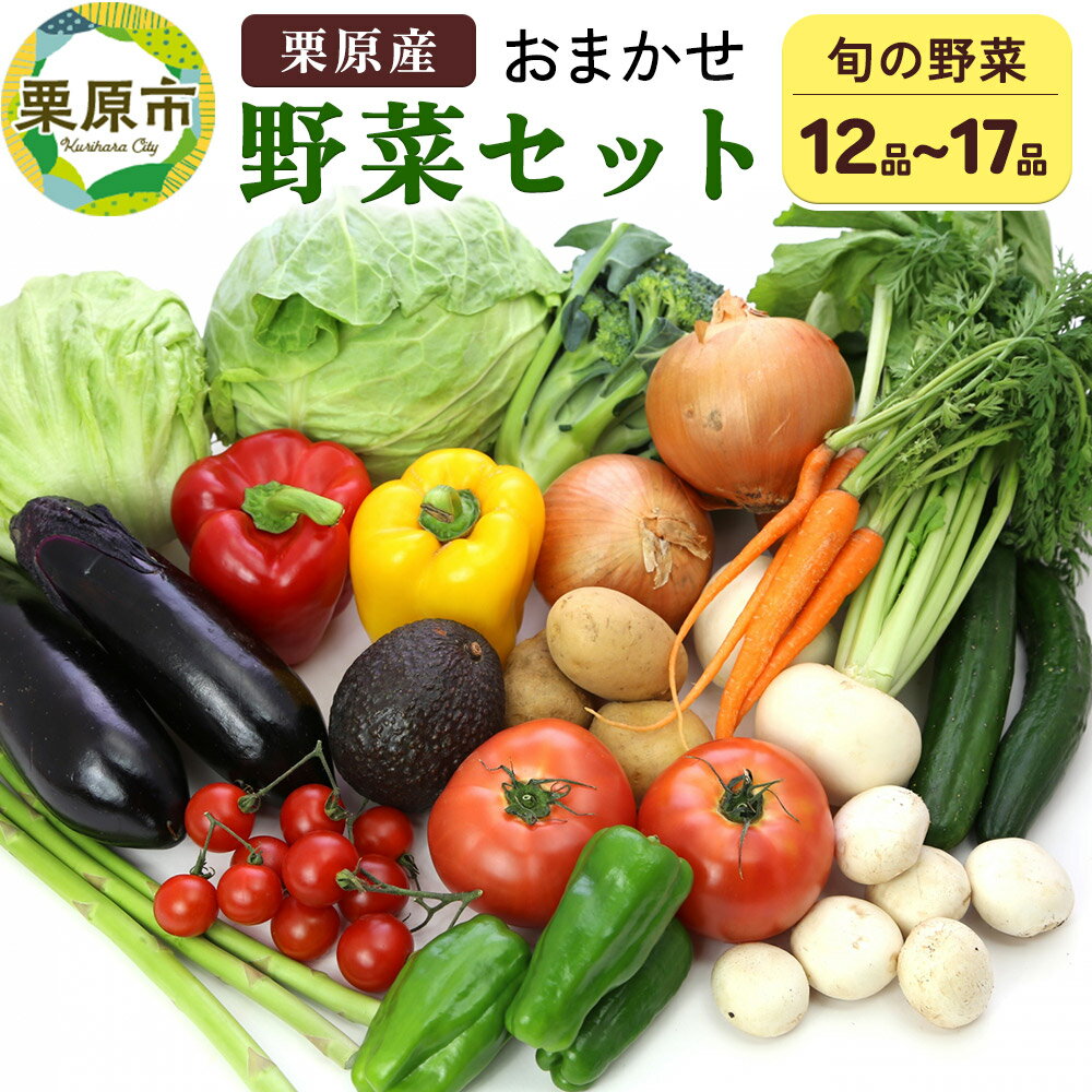 【ふるさと納税】栗原産 お任せ野菜セット(12品〜17品)