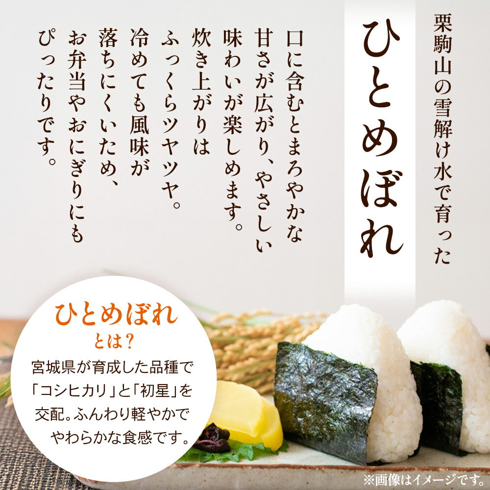 【ふるさと納税】【白米】宮城県栗原市 厳選米 ひとめぼれ 5kg