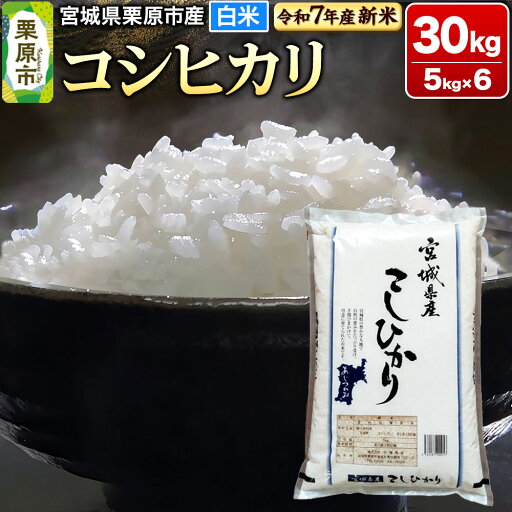 【ふるさと納税】【新米受付】【令和7年産・白米】宮城県栗原市産 コシヒカリ 30kg (5kg×6袋) 【ふるさと納税】【新米受付】【令和7年産・白米】宮城県栗原市産 コシヒカリ 30kg (5kg×6袋)