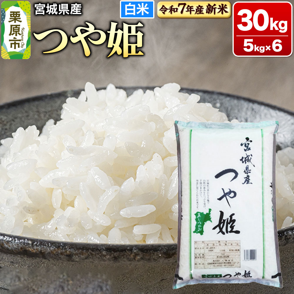 【ふるさと納税】【新米受付】【令和7年産・白米】宮城県産 つや姫 30kg (5kg×6袋)