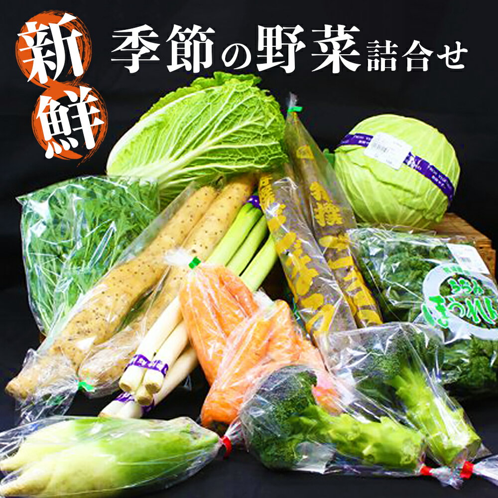 17位! 口コミ数「27件」評価「4.93」新鮮 季節の野菜 おまかせ詰め合わせセット 宮城県 東松島市 朝採り 野菜 産直