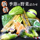 5位! 口コミ数「27件」評価「4.93」新鮮 季節の野菜 おまかせ詰め合わせセット 宮城県 東松島市 朝採り 野菜 産直