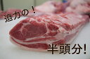 【ふるさと納税】豚肉 東松島産 豚肉 約25kg（1/2頭分）オーダーカット 肩ロース 背ロース バラ ヒレ モモ 挽肉 ミンチ 東北産 豚肉 国産 宮城県 東松島市 2