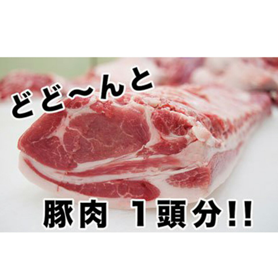 【ふるさと納税】豚肉 東松島産 豚肉 約50kg（1頭分）オーダーカット 肩ロース 背ロース バラ ヒレ モモ 挽肉 ミンチ 東北産 豚肉 国産 宮城県 東松島市